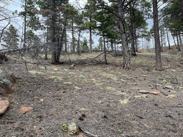 Lot 513 Leslie Loop
