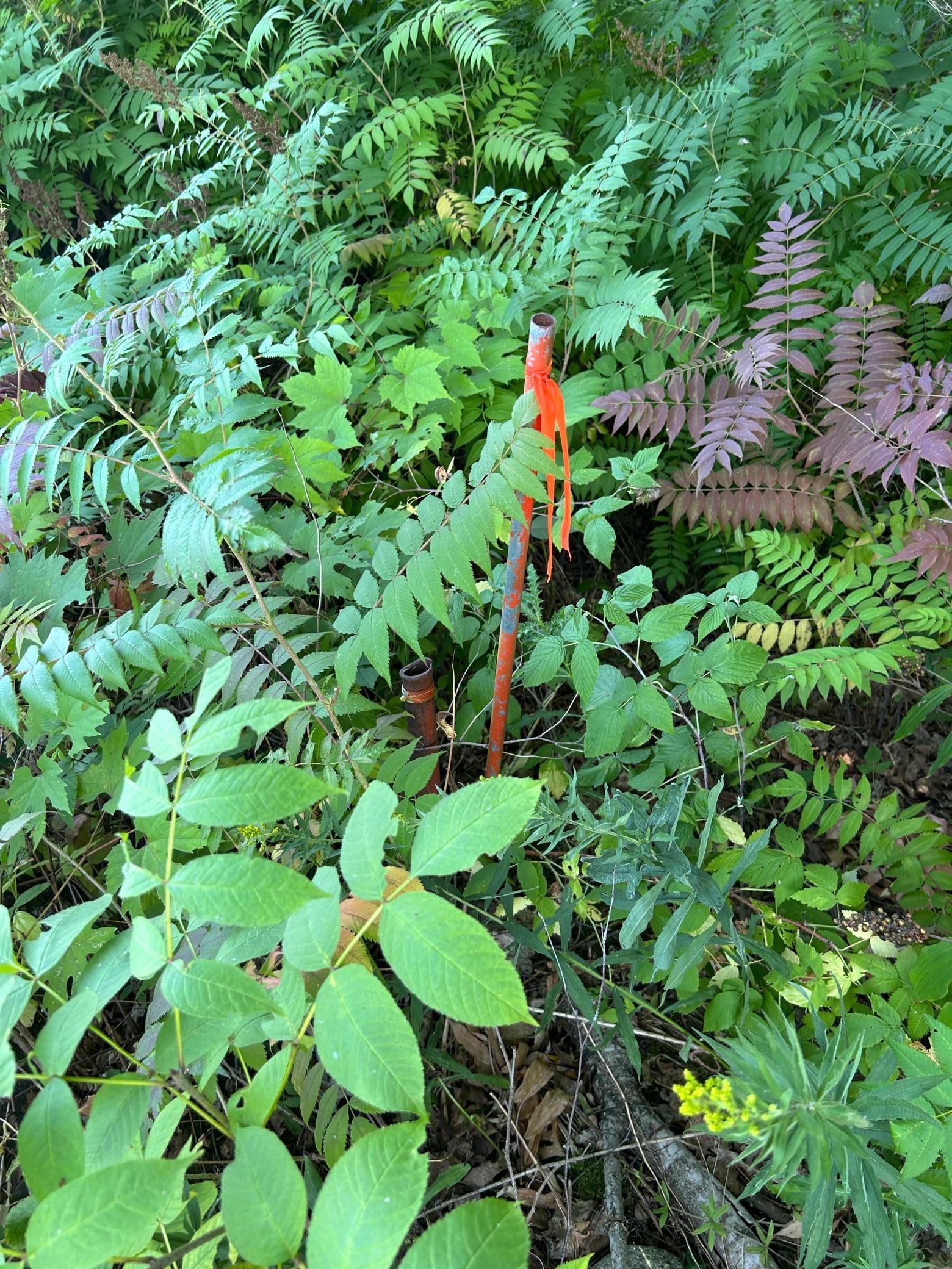 10XXX Maple Ridge Road