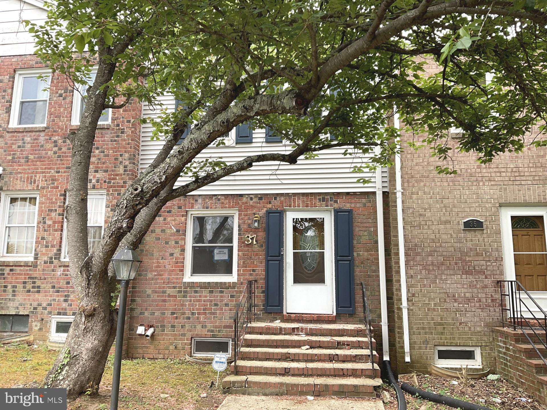 37 Watkins Park Drive 19