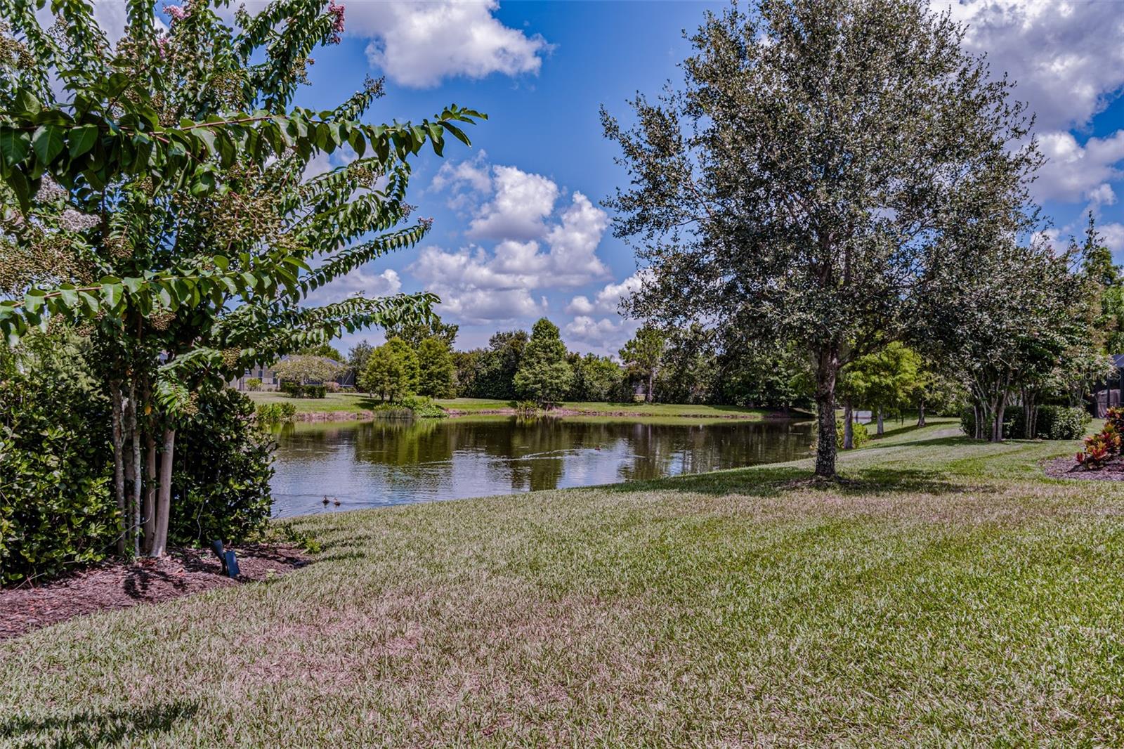 12010 Major Turner Run