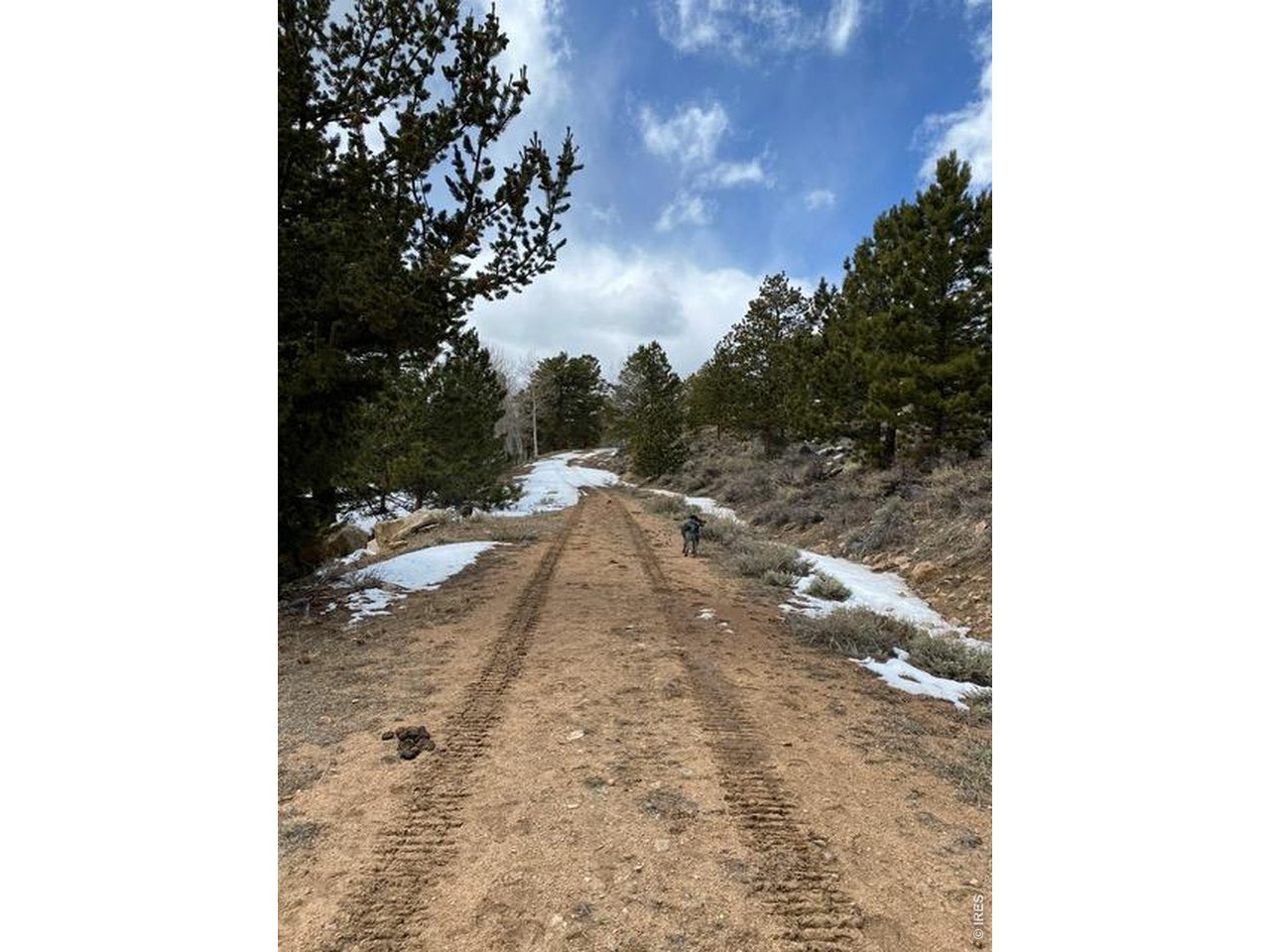 26.23 Acres of scenic mountain land with breathtaking views of the North Fork of the Poudre River Valley and surrounding peaks. This south-facing property offers abundant sunshine and breathtaking views, creating the perfect setting for a future mountain retreat. The land features gently rolling terrain with open grassy meadows suitable for horses, along with a beautiful blend of mature pine trees and pockets of aspen that add character and privacy. A homesite pad has already been carved out and electric has been run to the property, giving you a great head start when planning your build. Enjoy spending the summer months camping in your RV while you take in the peaceful mountain setting and wildlife. Located next to Beaver Meadows Resort Ranch, you'll have year-round recreation nearby along with convenient access to trails and public land in the Roosevelt National Forest for hiking, horseback riding, and outdoor adventure.