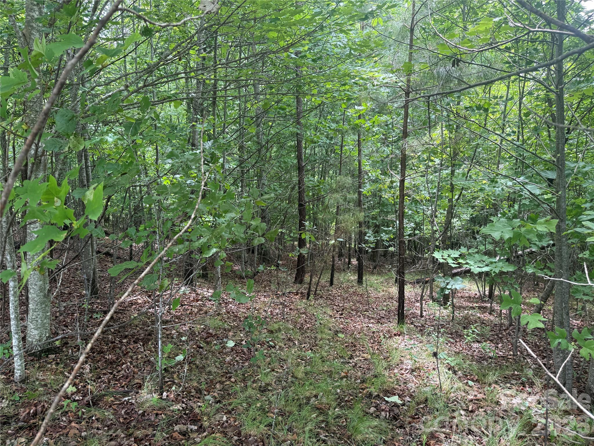 V/L Scenic Vista Drive 246
