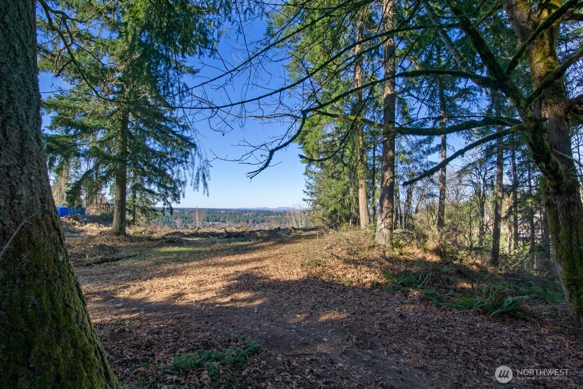 Experience truly breathtaking panoramic views from this exceptional 5-acre property. Watch the morning sun rise over the river valley and farmlands below, stretching across King County to the Seattle skyline—and on clear days, all the way to Mt. Baker. The scenery is expansive, peaceful, and entirely yours to enjoy.    An elevated, level building site is framed by mature cedars, offering both privacy and a stunning natural setting. The property slopes away from the homesite, a key feature that helps preserve your sweeping views and ensures there will be no future obstructions.    This parcel is well-prepared for your custom build, with an approved conceptual site plan, an updated and current 4-bedroom septic design, a drilled well producing an impressive 55 gallons per minute, and power readily available in the road as it runs along the property—saving you significant time and effort.    Whether you're ready to break ground or planning for the future, this property offers a rare combination of beauty, usability, and readiness. Owner financing available!
