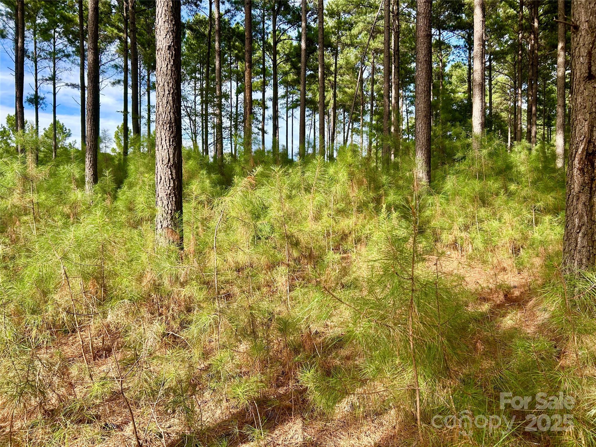 This large 2.58 acre lot in the beautiful Swift Island Plantation gated community has a current septic permit for a 3 bedroom  conventional system good until July of 2026. Septic system not installed. County water is available.  Conveniently located near Lake Tillery, a golf course, boating access, and a community storage area for your boat or camper included. HOA fees are $925.00 per year. with one time $1.850 capital fee to the HOA. Community covenants and documents available at https://www.casnc.com/communities/swift-island-plantation/