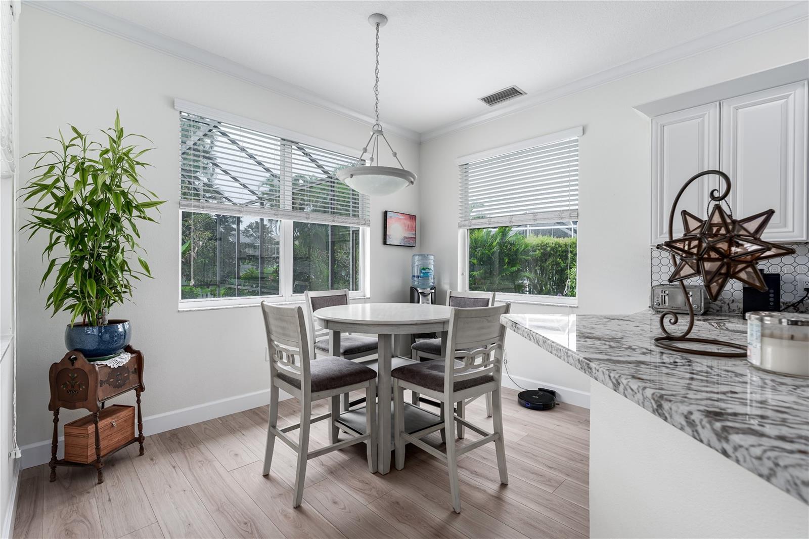 11206 Pine Lilly Place