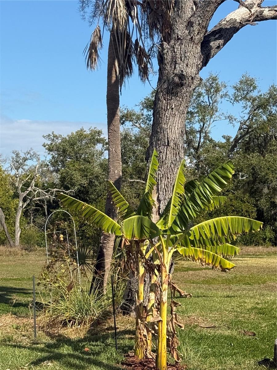 912 Piney Point Road