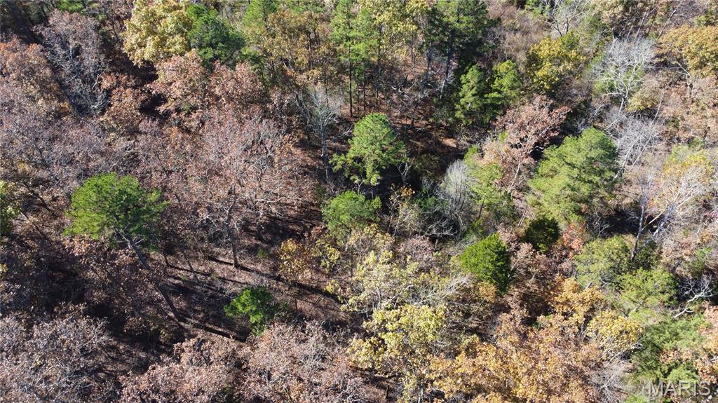 10256 Christina Trail