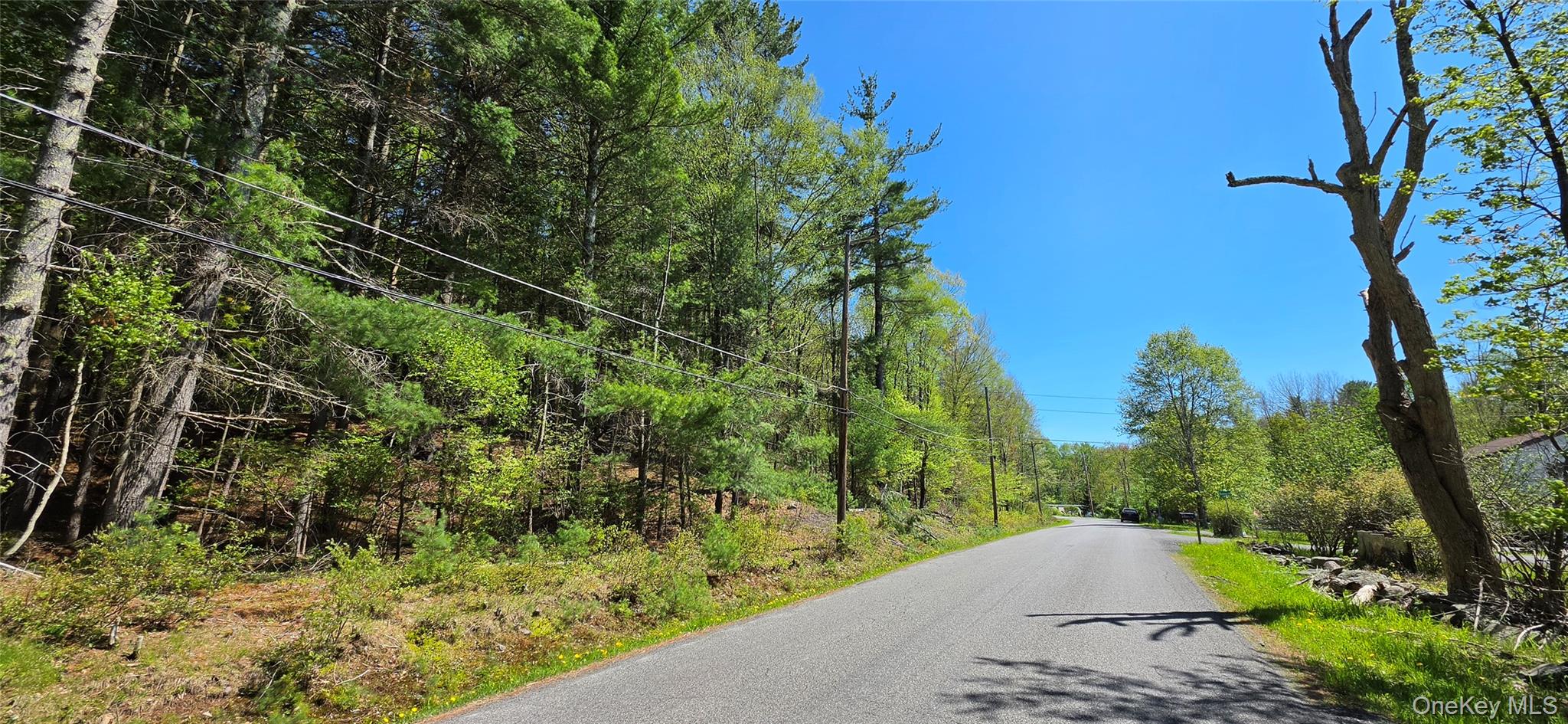 Hamilton Road