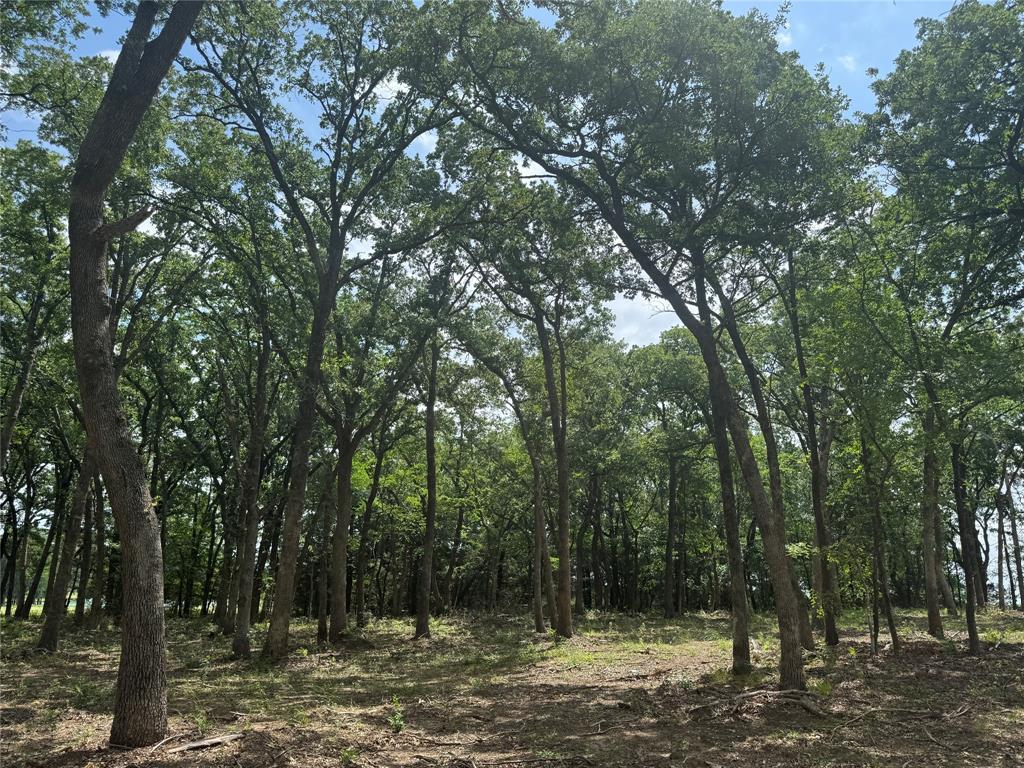 1216 Buck Trail