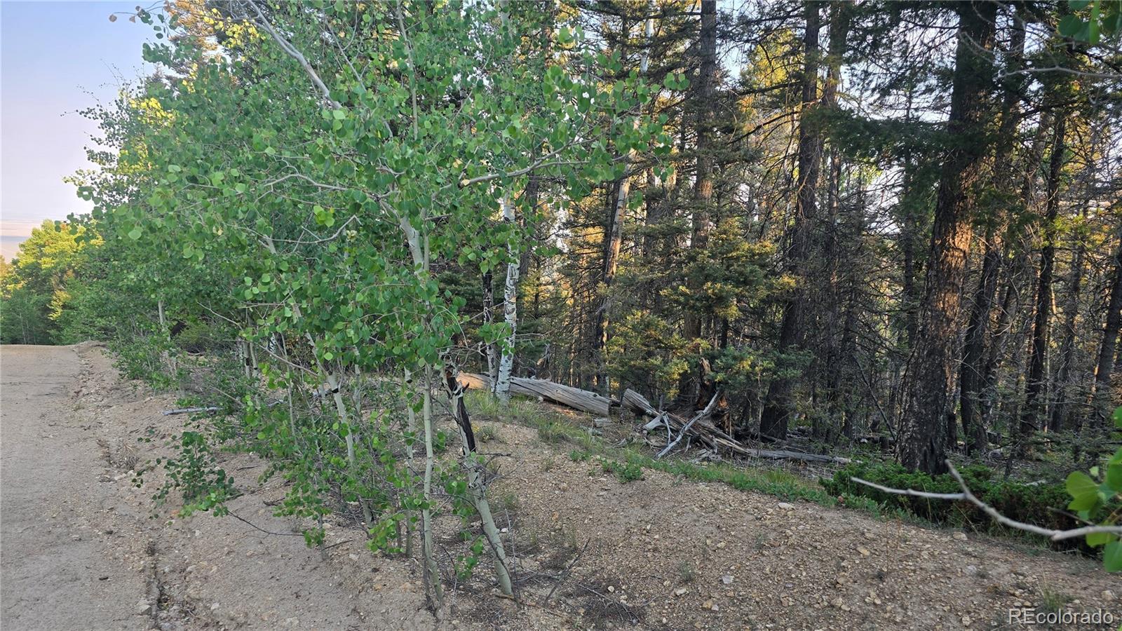 Lot 5768 Clawson Road