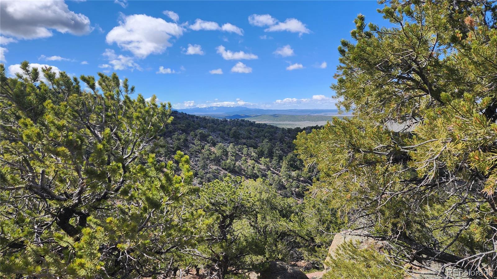 5040 & 5041 Mamouche Road