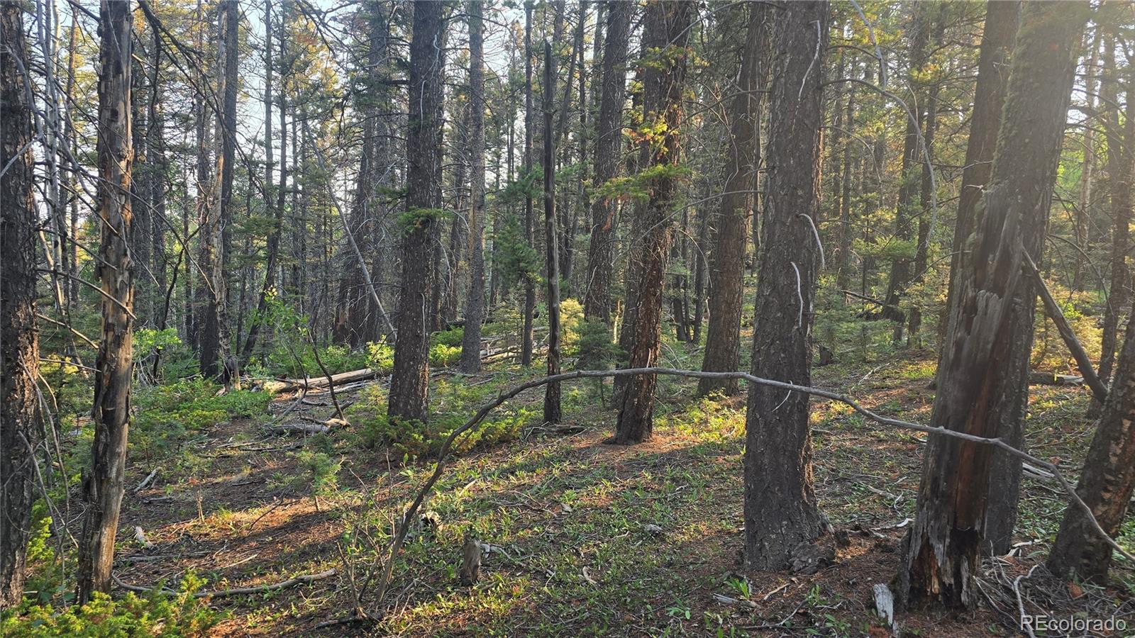 Lot 5768 Clawson Road