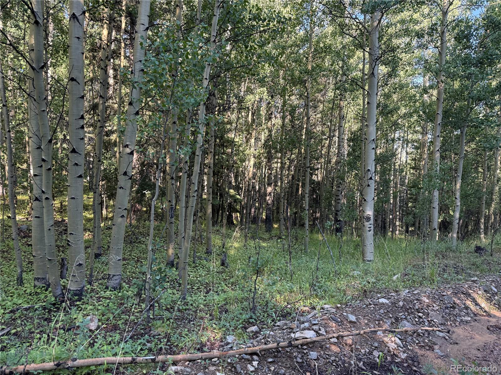Lot 5331 Hull Road