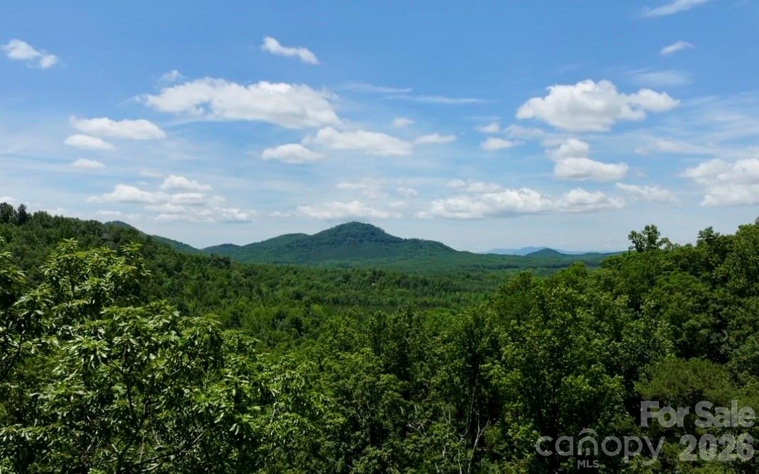 108 Mountain Brook Trail