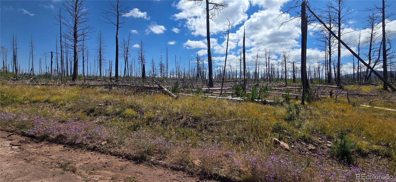 Lot 1242 Granville Loop