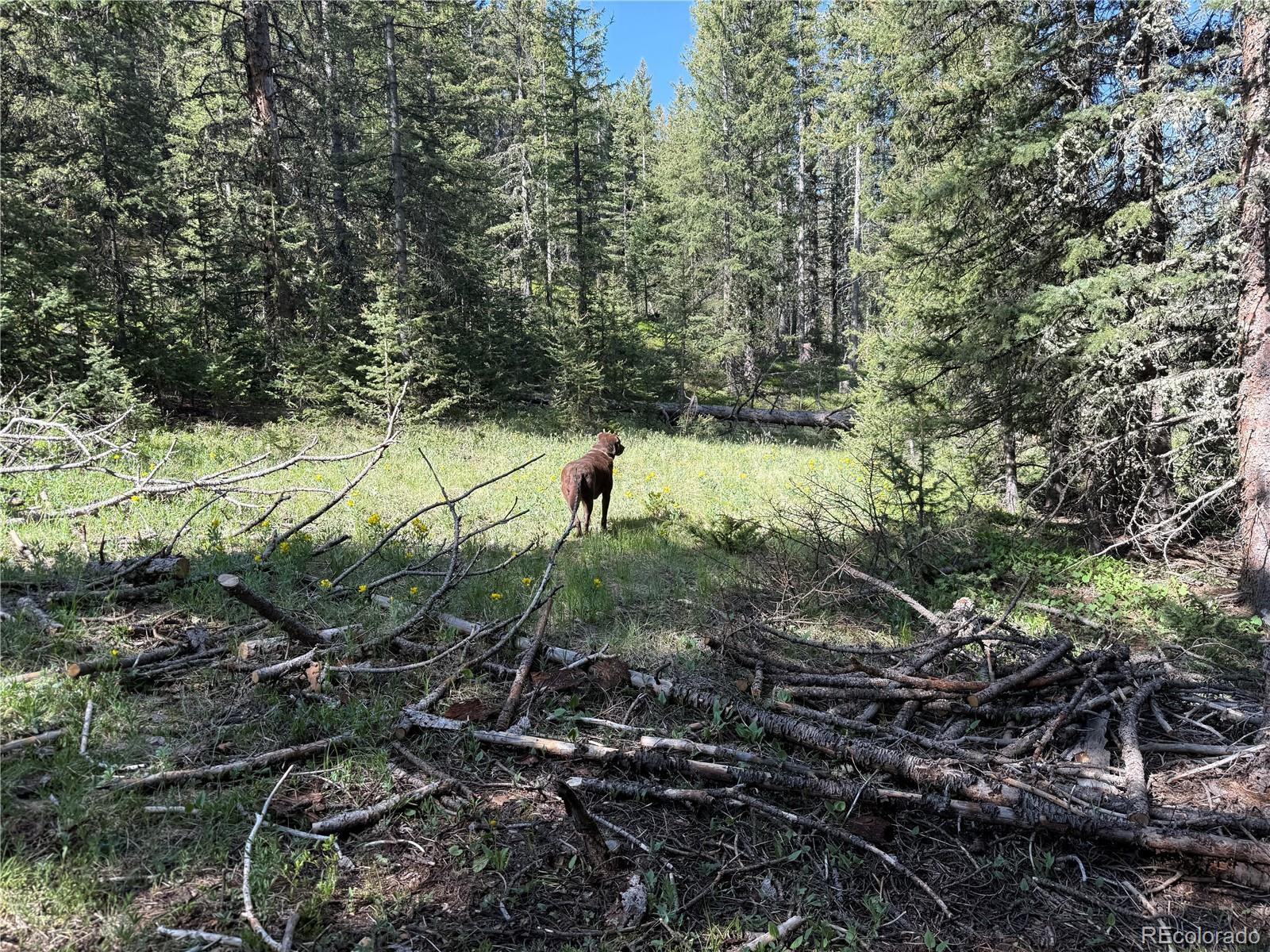Lot 6843 Ryland Road