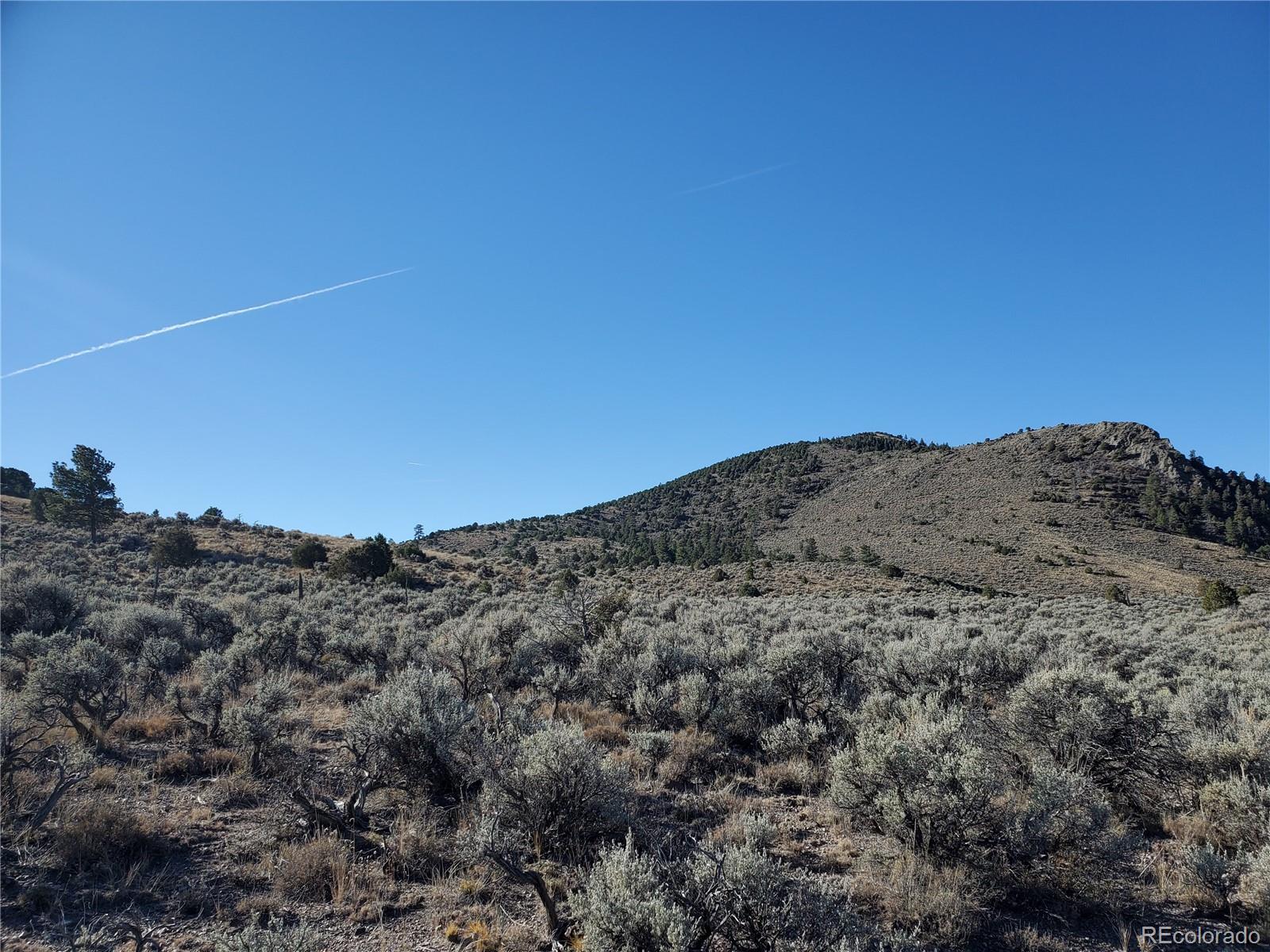 Lot 4601 Miller Road