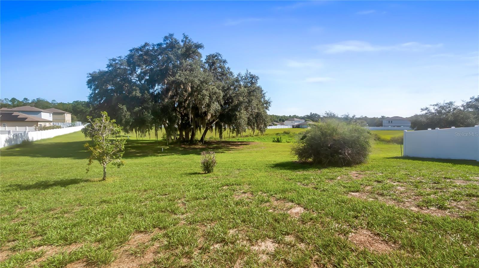 15409 Ivory Gull Lane