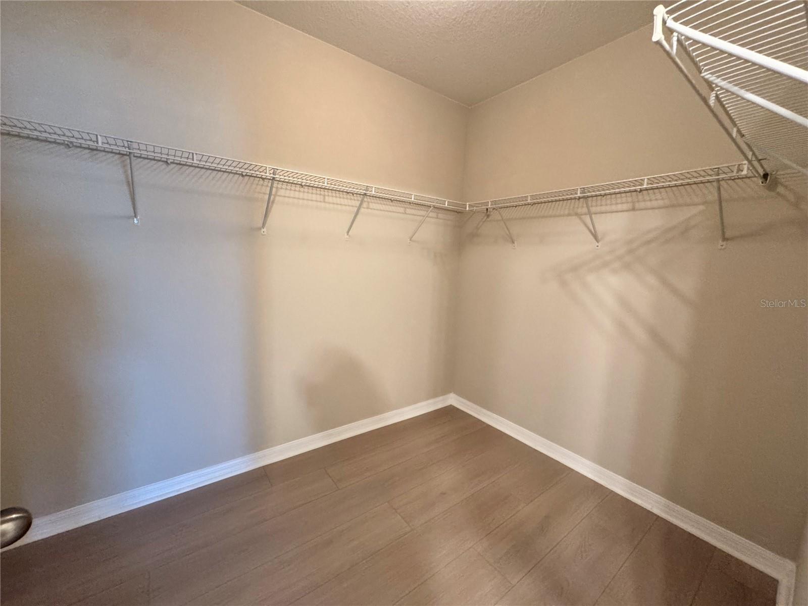 10013 Crested Fringe Drive