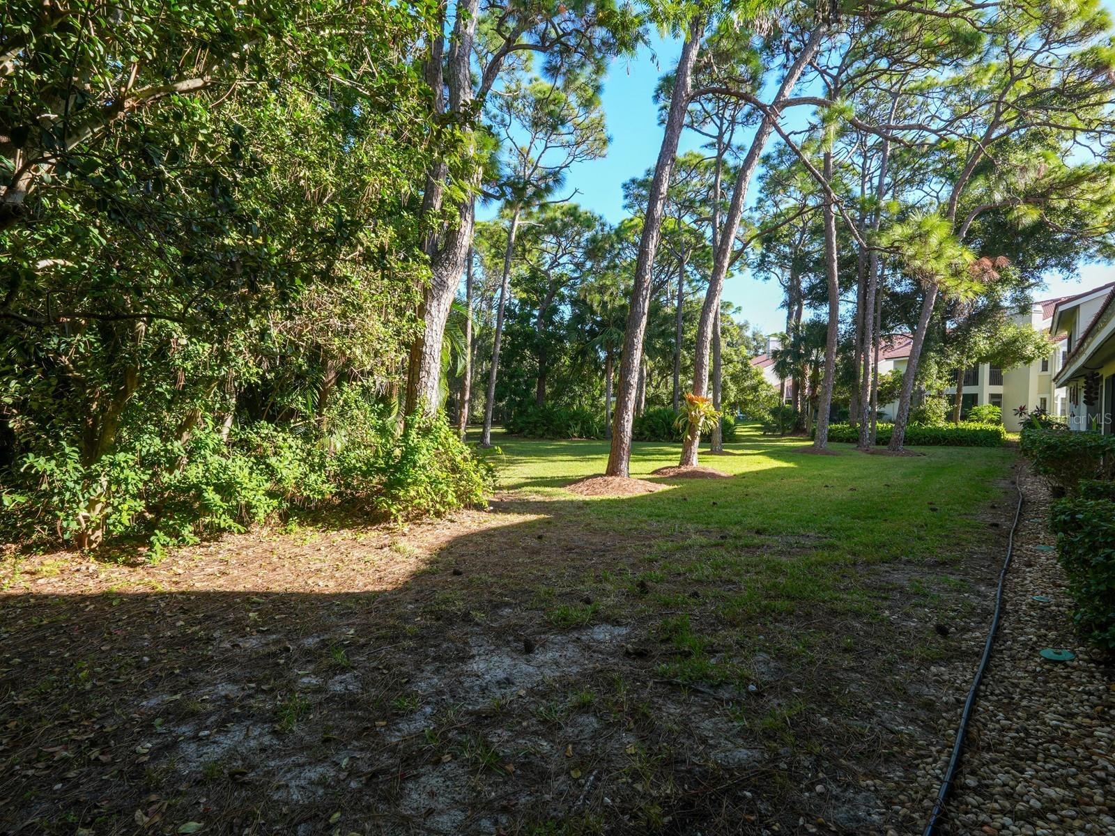 7790 Fairway Woods Drive 1201