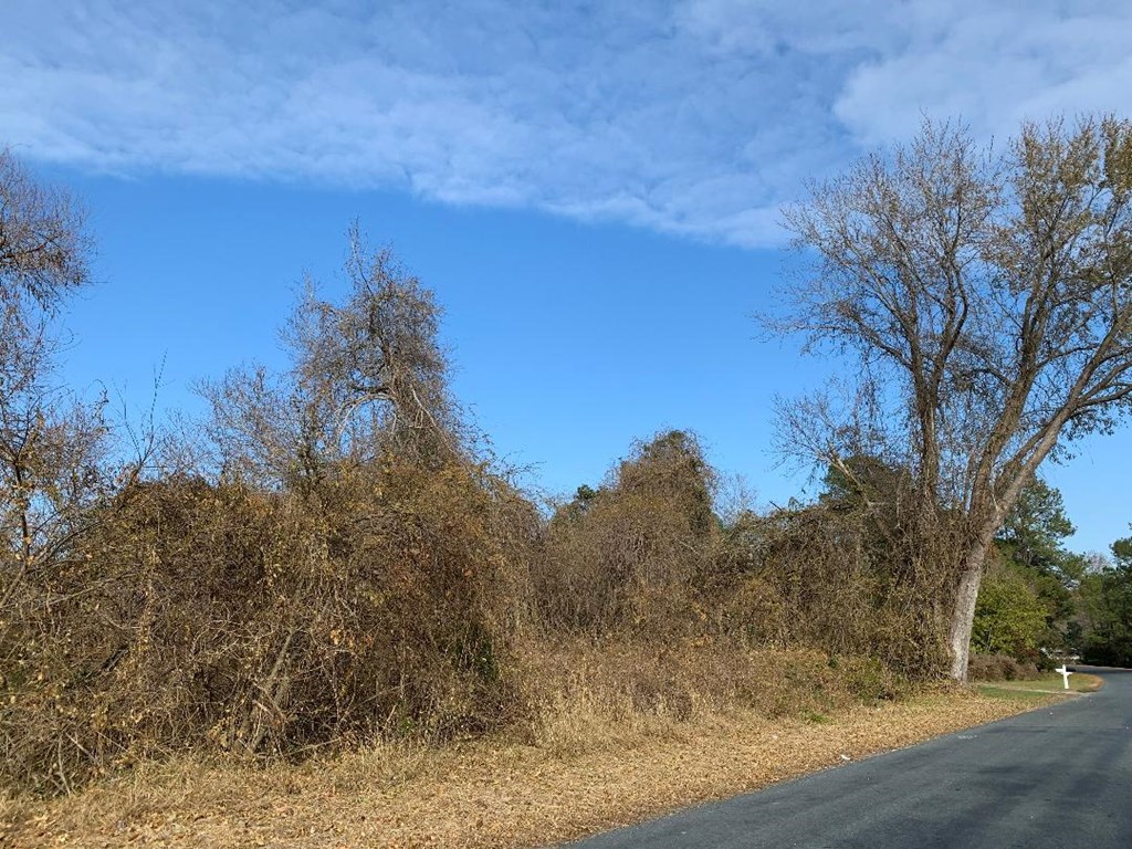Lot 33 Winterville Rd 33