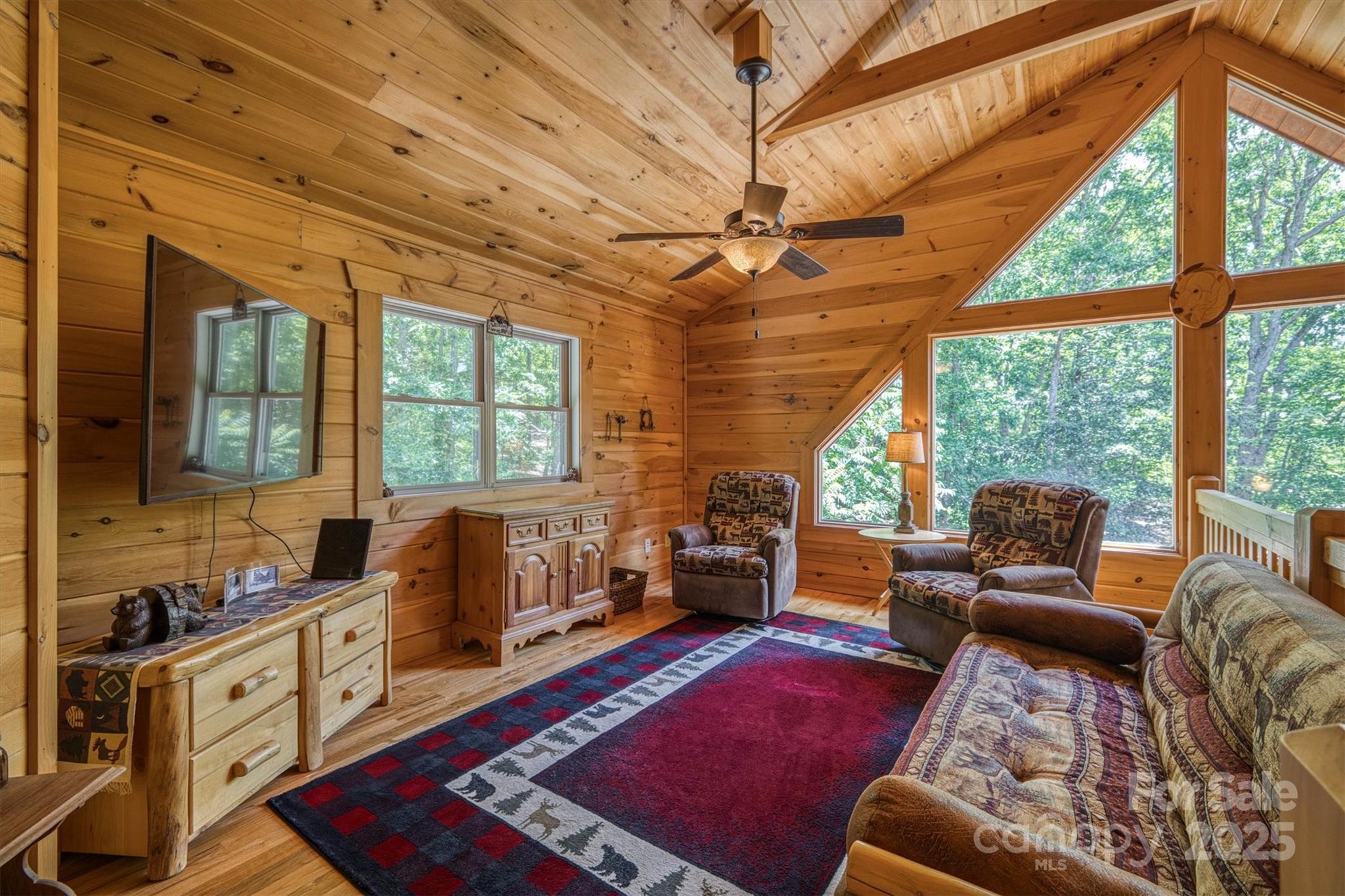203 Mountain Vista Drive