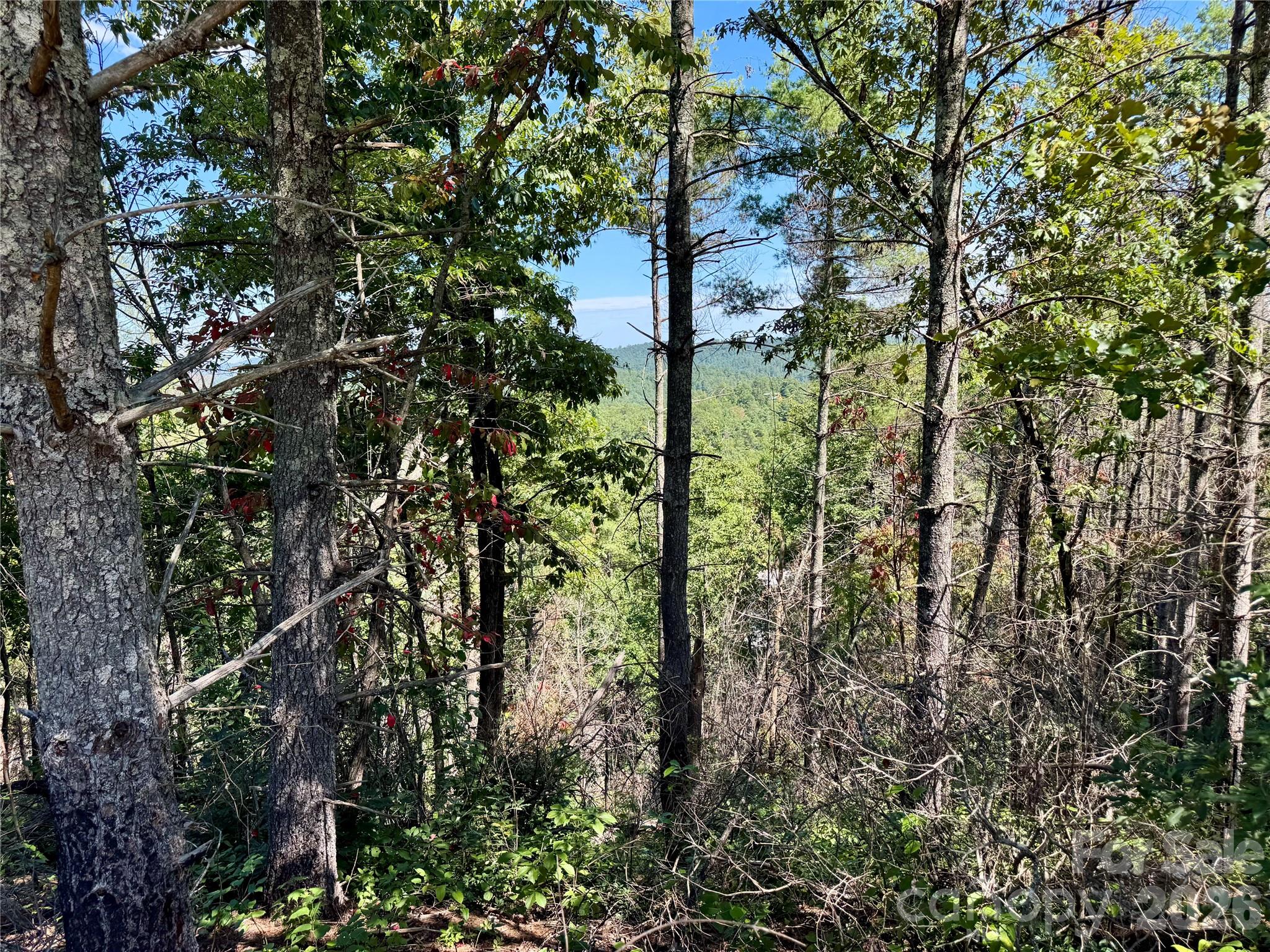 1.46 acres, Lot 48 Tomahawk Ridge Drive Lot 48