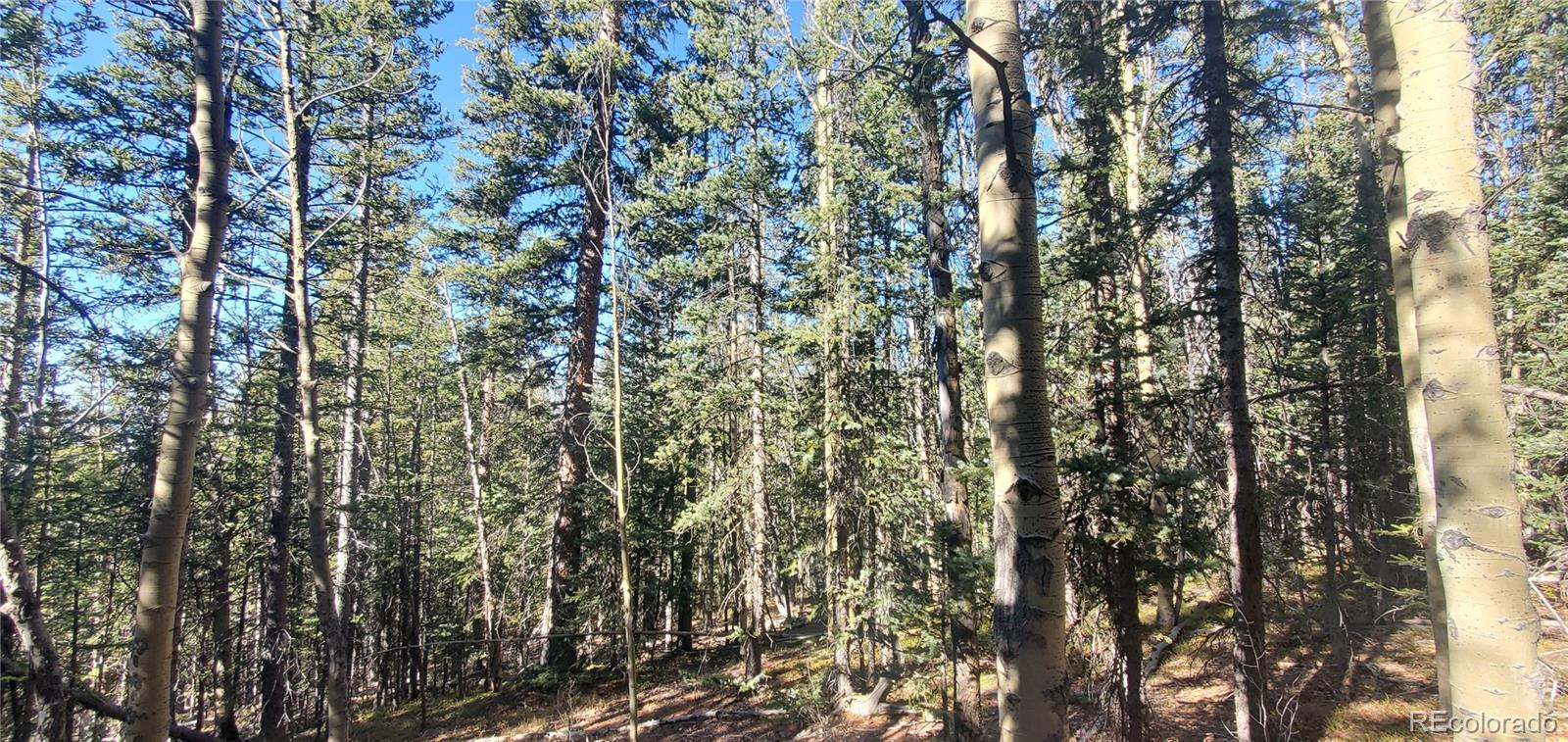 Lot 6581 Ackerman Road