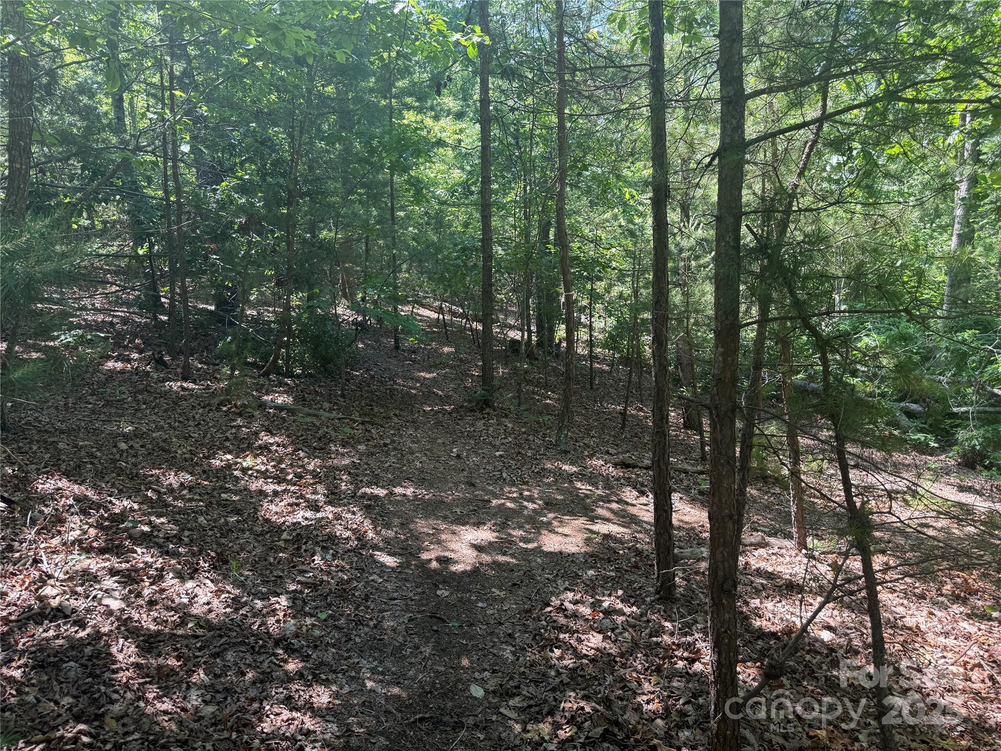 0 Crescent Ridge Lane 373