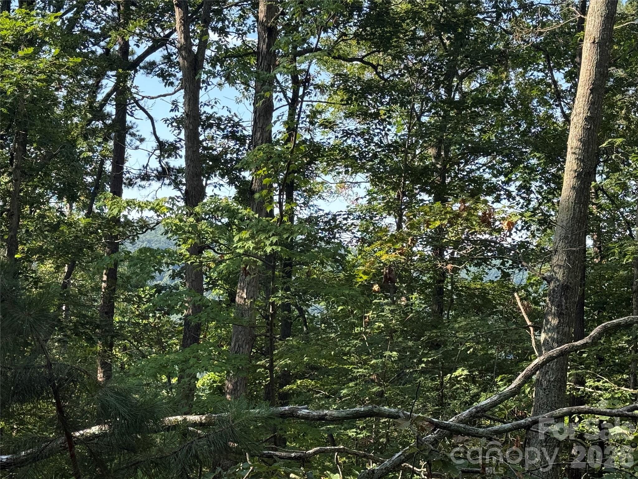 V/L Scenic Vista Drive 332/333