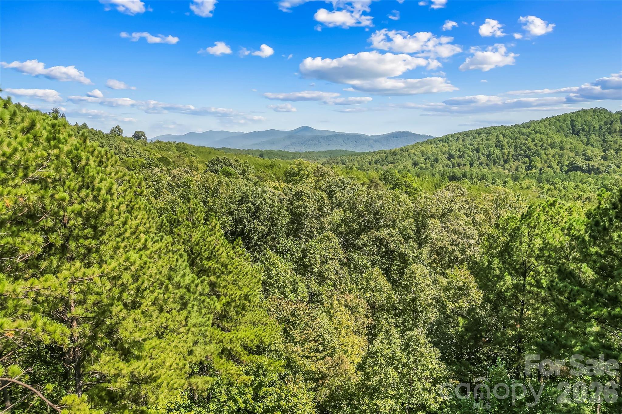 77 Dunn Trail