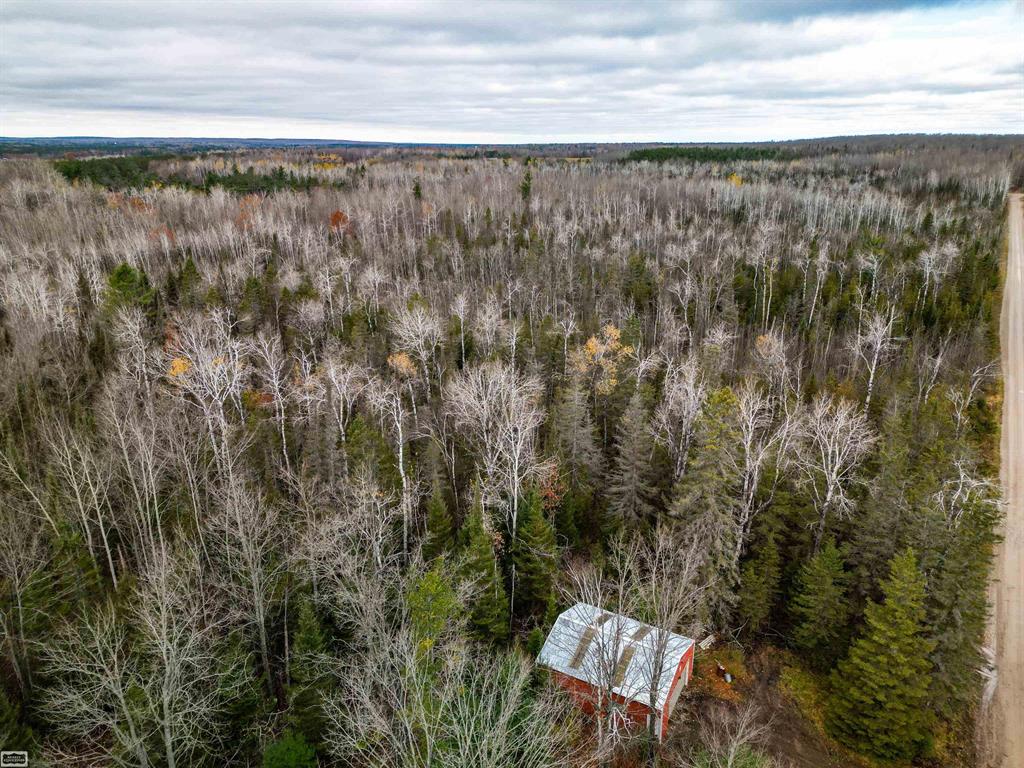 Located just 100' off a major snowmobile trail, 19 wooded acres with a 20' x 30' Pole Barn w/electric service, plus well & septic system that formerly served what is a now dilapidated mobile home (to be removed at closing). A perfect setting for recreation, hunting, snowmobiling, ATV riding or simply escaping into nature.  Key Features:  * 19 wooded acres (ample wildlife habitat) * Pole barn with full electric service * On site septic system (previously servicing a mobile home) * On-site well * Approx. 100 feet from snowmobile trail (ideal for snowmobiling) * Perfect for recreation & gaming (hunting, trails)  Call us for more details and to schedule a private showing of this rare find!