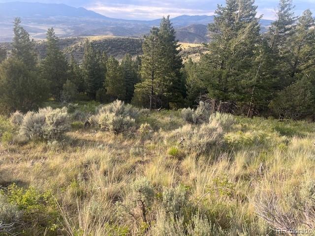 Lot 4630 Spring Road