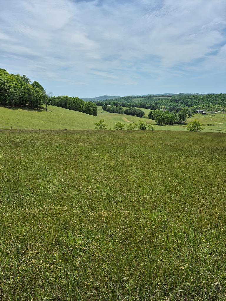 Desirable Hillcrest Estates subdivision offering commanding long-range mountain views including Buffalo Mountain and an ideal setting for your dream home. This well-laying lot provides excellent flexibility for building and feature convenient access from both Bent Nail Road and Shamrock Trail, with a VDOT-approved driveway entrance already approved off Bent Nail Road.  The property has been previously perc tested and offers public water availability and underground electric. Lot has been cleared, providing a great head start for your homesite while still allowing you to position your home to take full advantage of the surrounding mountain scenery.  Adjoining lot 85-8-28 can be purchased also to create additional space and flexibility, ideal for a detached garage, workshop, or additional outbuilding, while maintaining privacy and maximizing the long-range views.  Located just minutes from Hillsville, this property offers the perfect balance of peaceful country living with convenient access to town amenities.  Perfect for a full-time residence, retirement home, or mountain getaway, this beautiful lot offer privacy, views, and the opportunity to build exactly what you envision. HOA provides water and road maintenance.