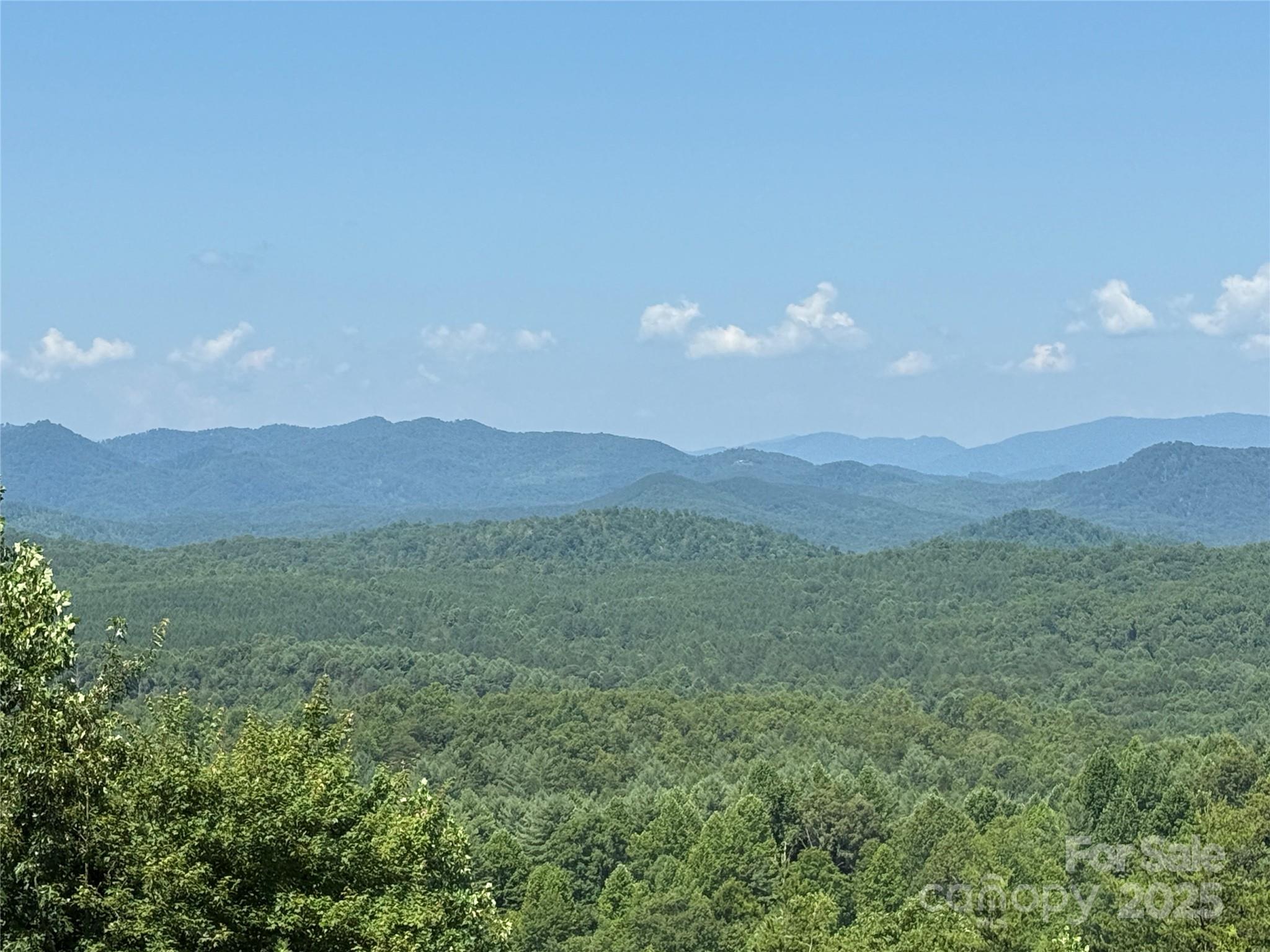 0 Scenic Vista Drive 262