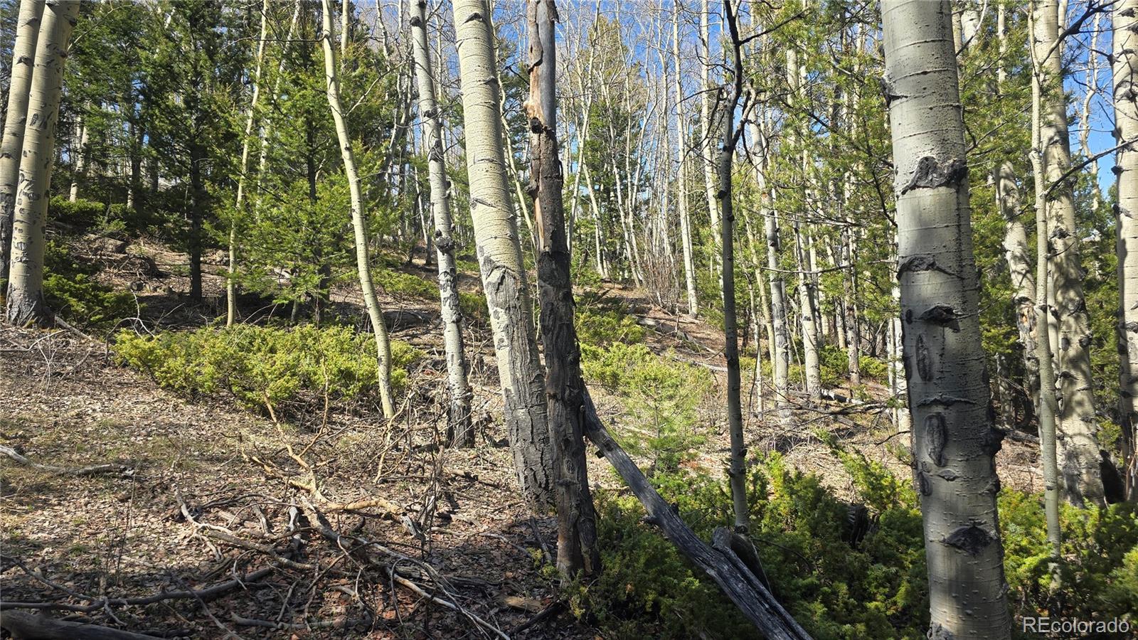 Lot 6708 Debbie Road