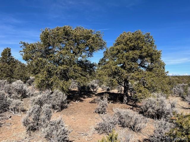 Lot 3 Ravenwood Lane