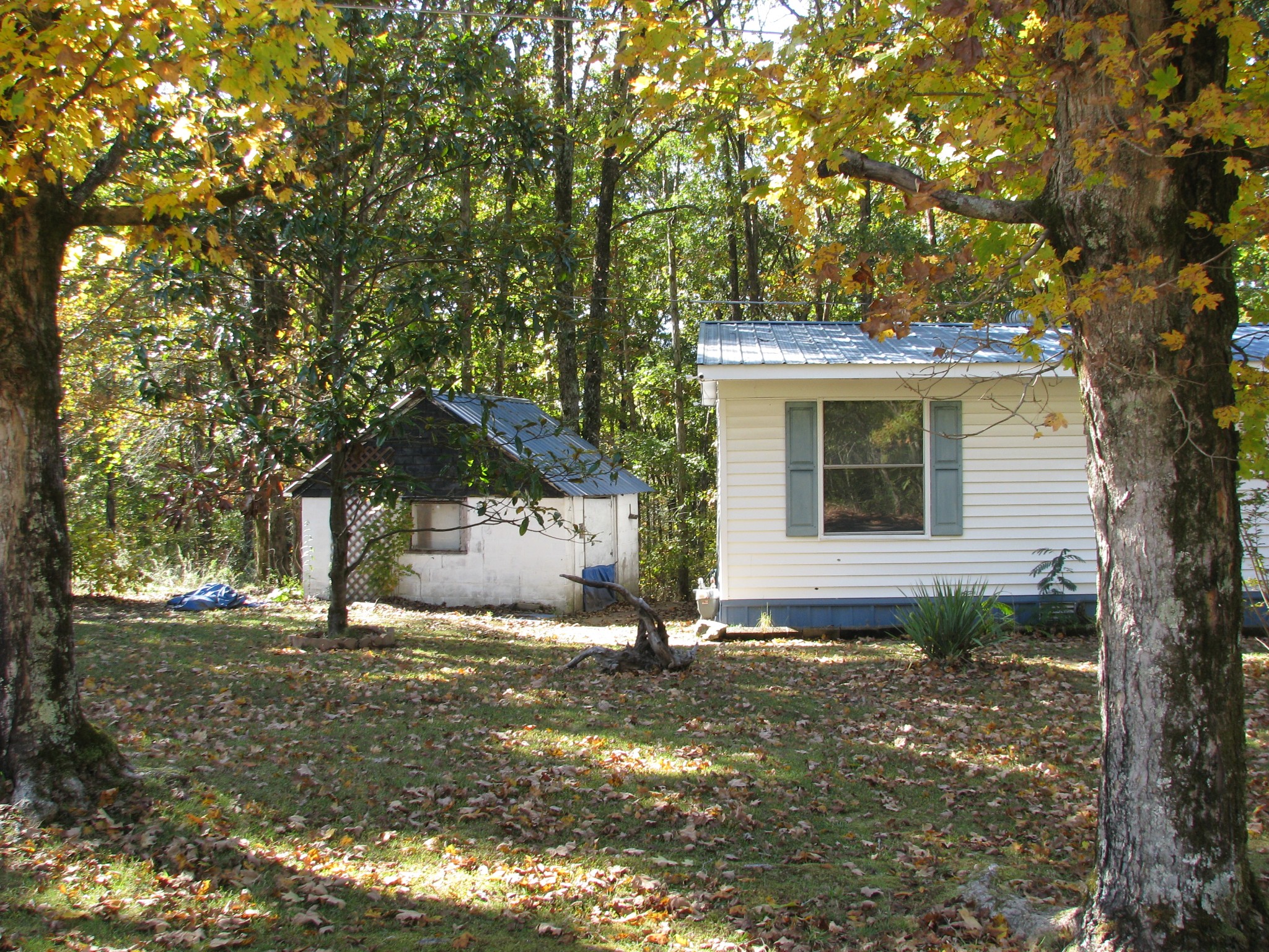 329 Clover Ln