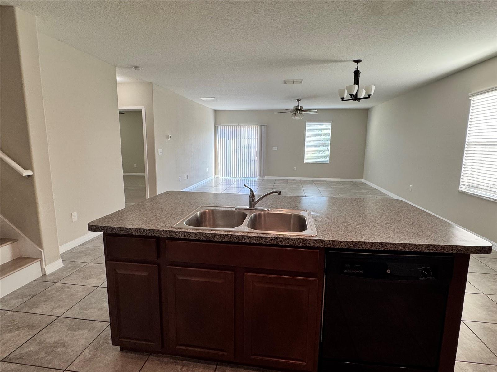 10013 Crested Fringe Drive