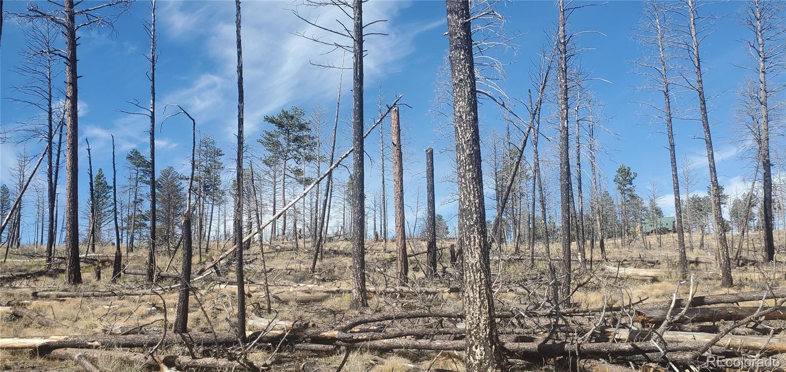 Lot 585 Leslie Loop