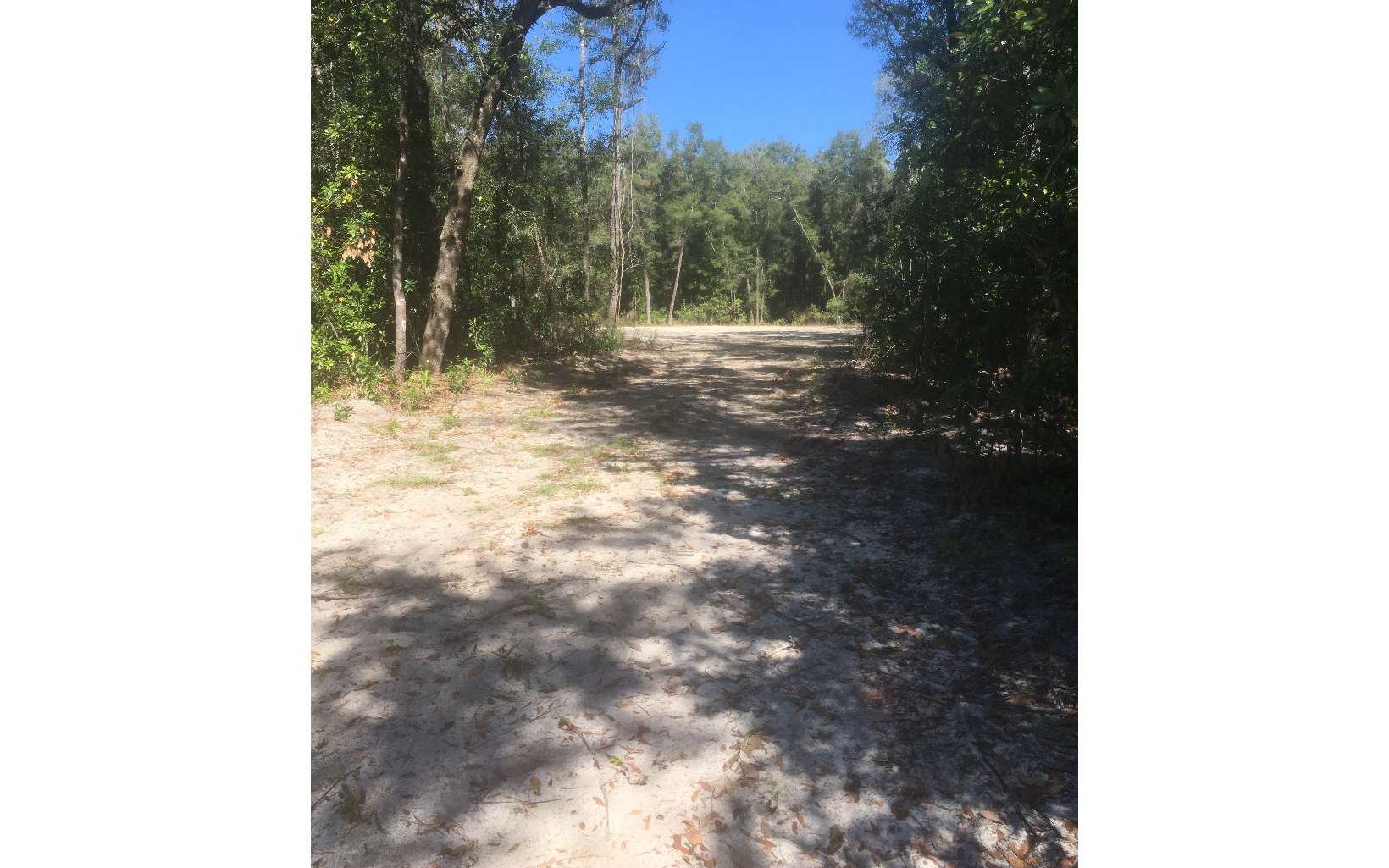 Three Rivers Estates Florida For Sale