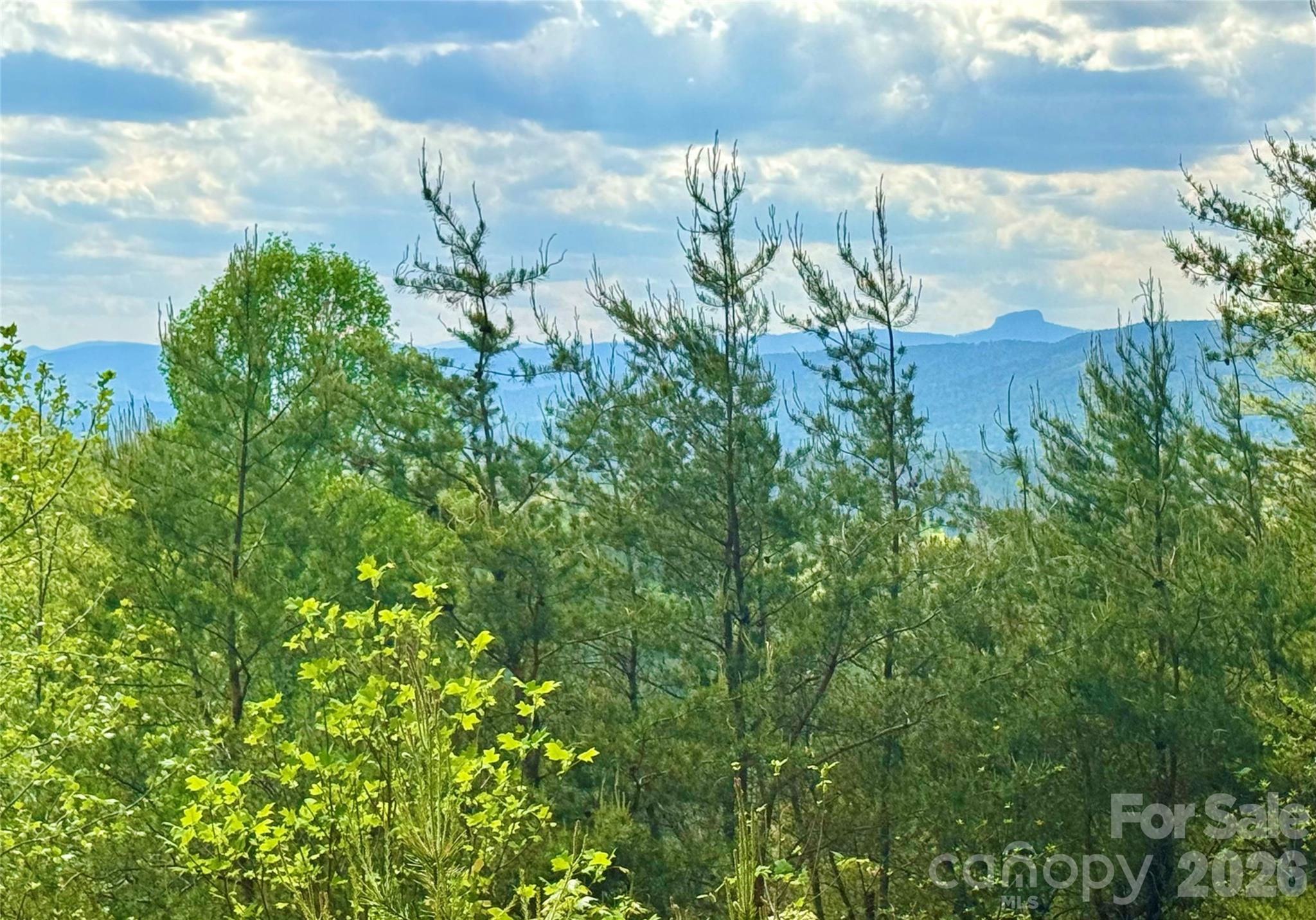 Lot 161/162 Rocky Falls Lane 161/162