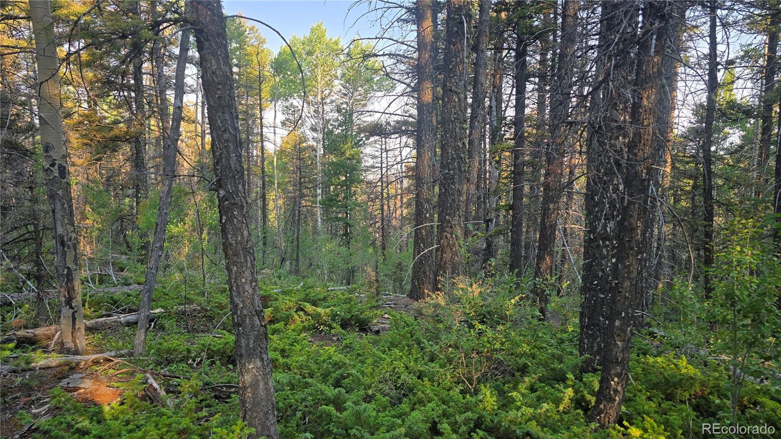 Lot 5768 Clawson Road