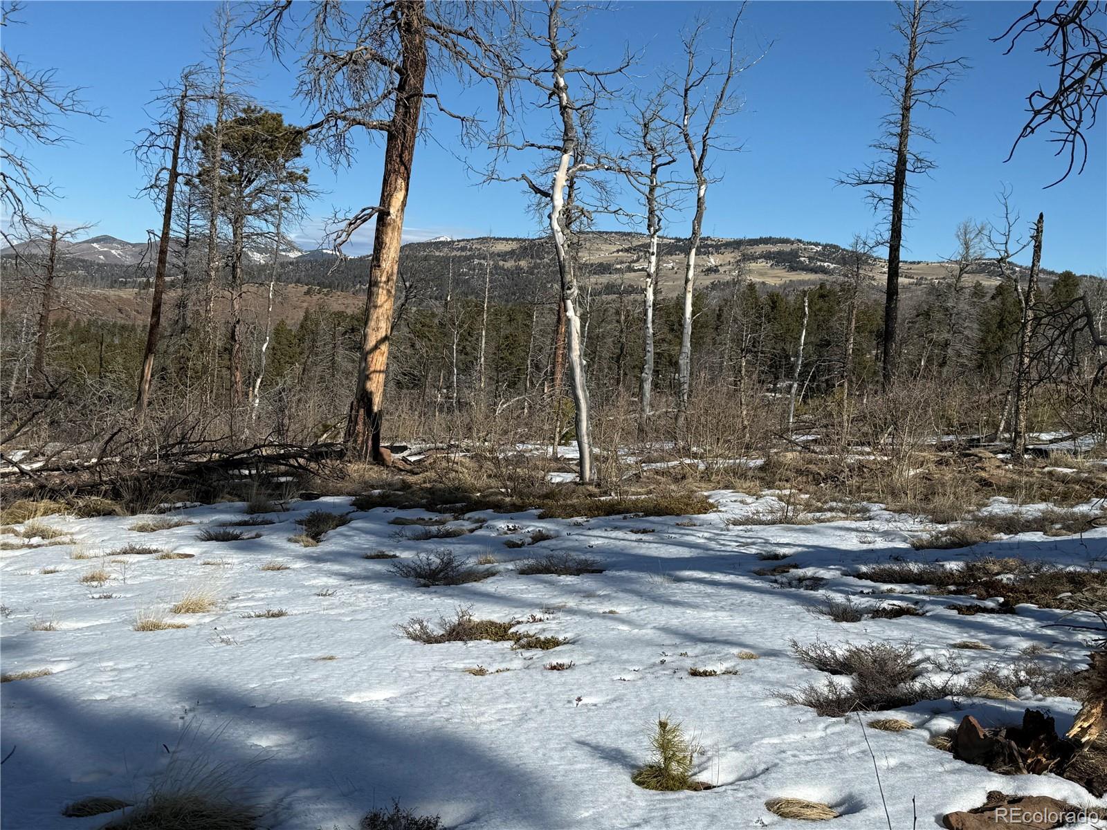 Lot 356 Spangle Drive
