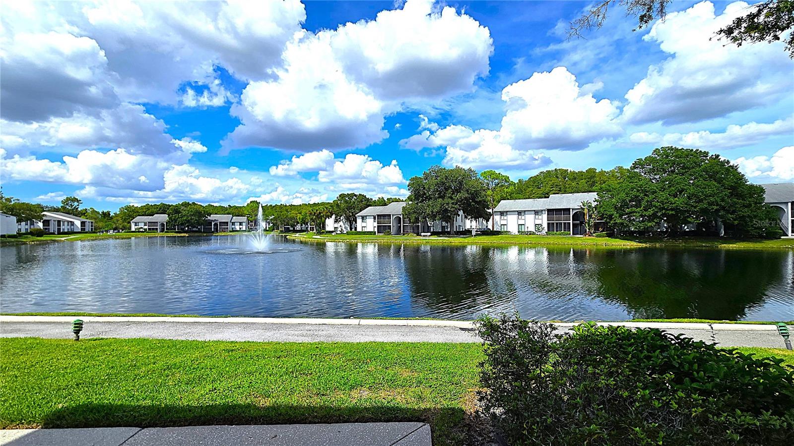 Discover unparalleled value in Eastlake with stunning water views right outside your front door! Presenting your ideal condo in the highly sought-after Pine Ridge at Lake Tarpon Village, located in the desirable Tarpon Springs/Eastlake corridor! This ground floor unit perfectly blends convenience with the quintessential Florida lifestyle, all at an exceptional price point! Just STEPS from the pool, this expansive 2 bed, 2 FULL bath residence features water views out of every window. The open floor plan fosters a welcoming ambiance and wide open living and dining spaces with an updated kitchen and eat-in breakfast nook! With updated tile flooring extending throughout the unit, cozy carpeting in the bedrooms, custom solid wood cabinetry and a pantry closet- you can move right in and call it your own! The owner's suite serves as a serene sanctuary boasting a HUGE walk-in closet and an en-suite bathroom with a step-in tile shower. The second bedroom is spacious and adaptable with dual closets making it suitable for guests or a home office complete with a second full bath conveniently located just across the hall! This unit checks all of the boxes with a laundry/utility room equipped with your own washer and dryer and natural light galore! Welcoming all ages, Pine Ridge offers a wealth of resort-style amenities ranking second to none. Relax under the palm trees while you enjoy the heated pool and spa as you gaze over the natural beauty of the lake- equipped with a dazzling fountain. Serenity overload! Enjoy outdoor walking, biking and fitness trails, bike racks, tennis courts... the list goes on! The community clubhouse is ideal for social gatherings and is fully equipped with ample seating and picturesque views of the resort-style pool and pond. All perfectly situated just minutes away from downtown Tarpon Springs, its historical Sponge Docks and award winning Gulf Coast beaches! Just a short walk away from the top-rated Eastlake High School and Eastlake Middle School Academy of Engineering! Enjoy close proximity to a Mecca of golf courses, grocery, dining, local YMCA's, shopping and area airports! This is the warm weather, maintenance-free Florida lifestyle that you have been waiting for!