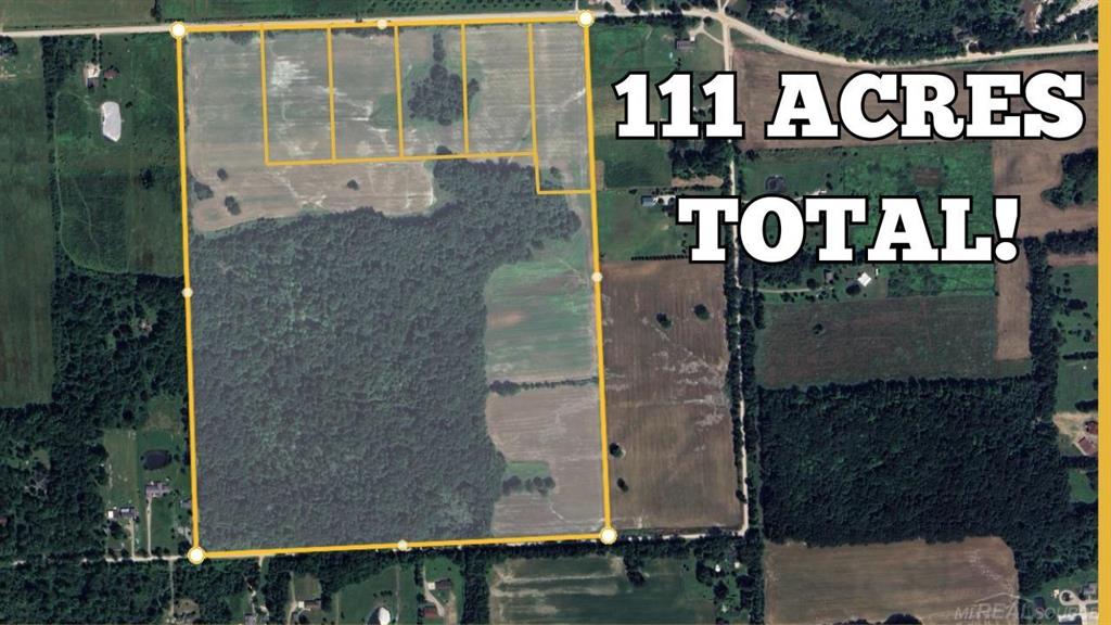 111.1 Acres of Prime Michigan Land "“ A Hunter's & Farmer's Paradise!  Discover the perfect blend of nature and opportunity with this 111.1-acre property, offering endless possibilities for farming, hunting, and building your dream home. Conveniently located near I-69 and within the Yale Public School District, this land is ideal for those seeking both privacy and accessibility.  **Land Breakdown:**  63 acres of mature woods "“ Perfect for hunting and recreational use  48 acres of tillable farmland "“ Ready for crops or future development  6 Separate parcels "“ Four 5-acre parcels and one 6.25-acre parcel, and One       84.79 acres for flexibility  **A Sportsman's Dream** This land offers premium hunting for deer, turkey, pheasants, and small game. The diverse habitat, including wooded areas and open fields, provides an excellent environment for wildlife.  **Natural Beauty & Resources** Enjoy the beauty of fruit trees scattered throughout the property and a never-empty pond-a perfect water source for wildlife and a serene escape for nature lovers.  **Endless Possibilities** Build your dream home, start a hobby farm, or invest in a versatile property with multiple land splits available for customization.  This rare find won't last long! Experience the potential of this extraordinary piece of land firsthand.