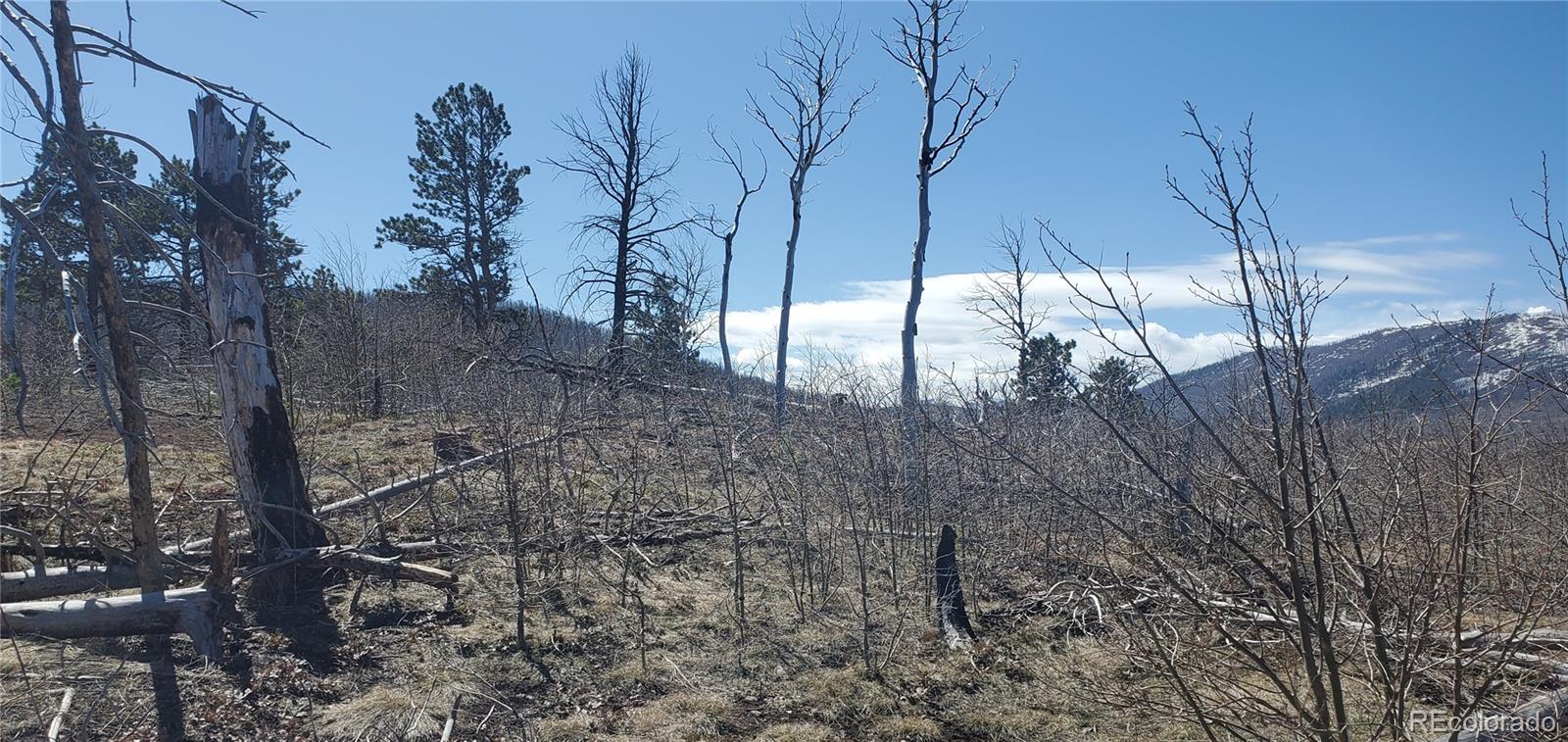 Lot 1667 Towey Place