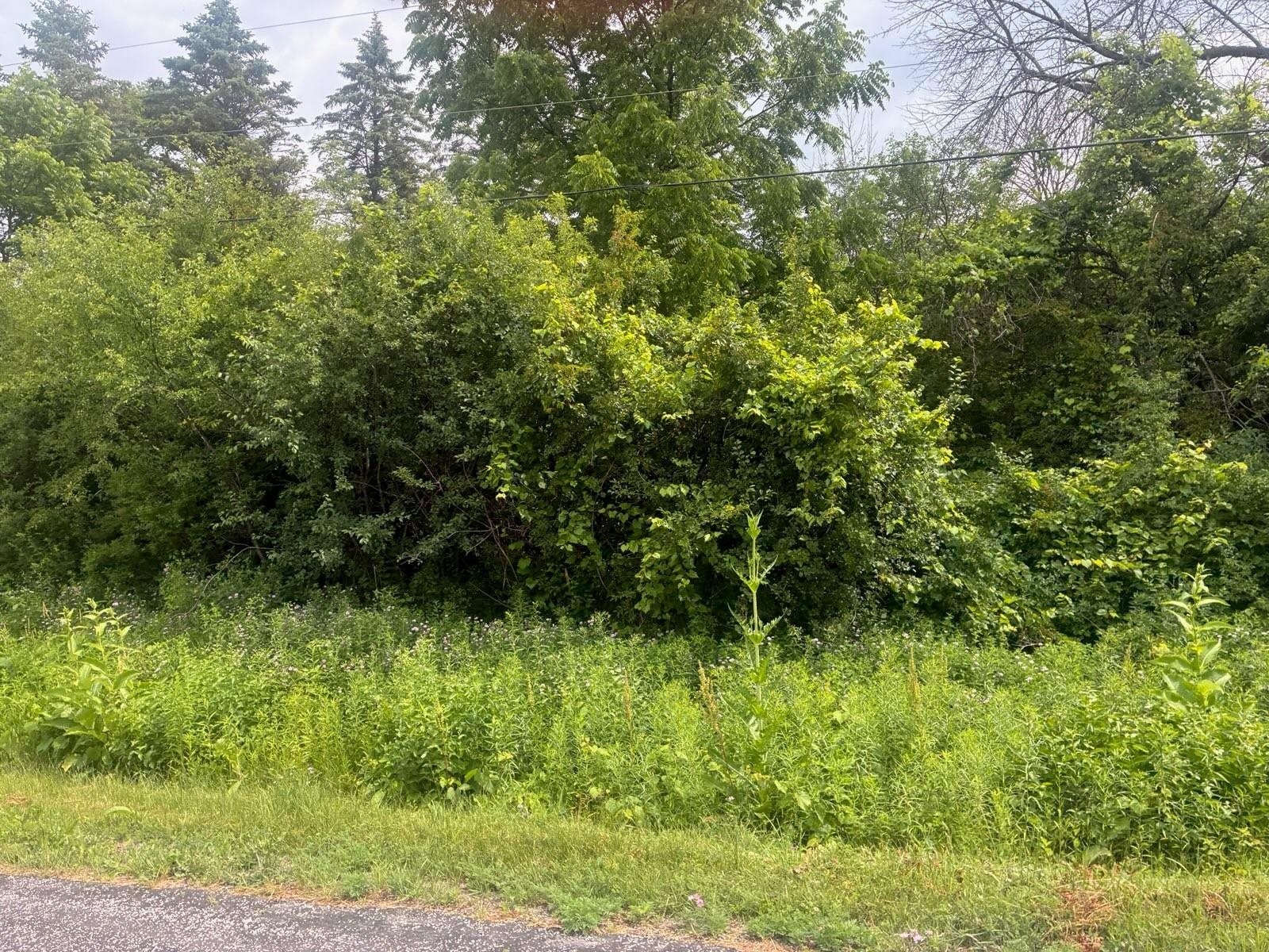 Whitewater Drive