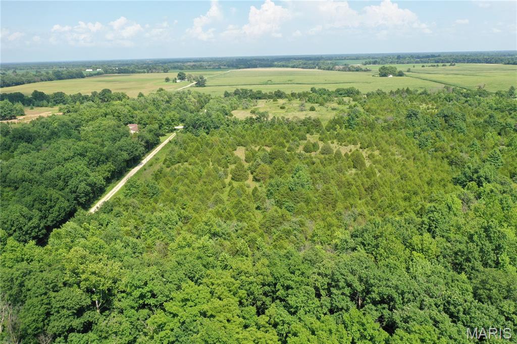 14.57 Acres Red Oak Road