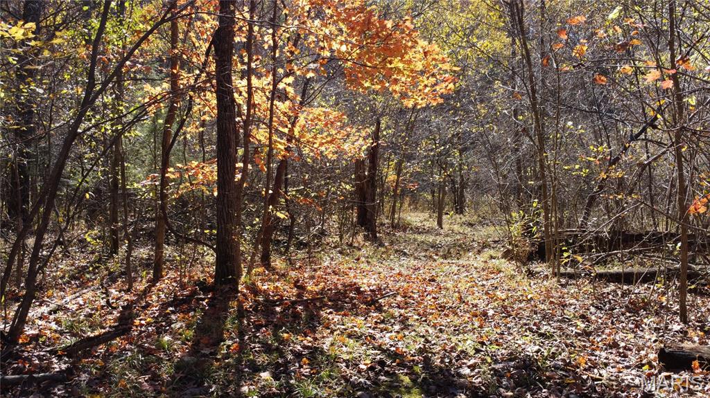 10256 Christina Trail